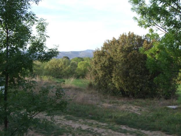 Hebergement Insolite Nature/4 Saint-Andre-de-Sangonis Exterior photo